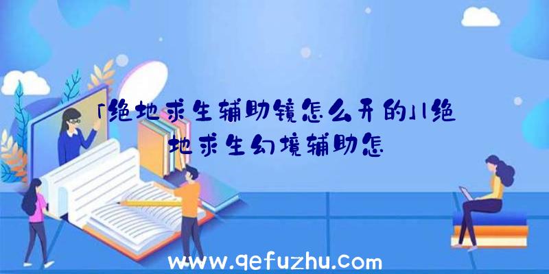 「绝地求生辅助镜怎么开的」|绝地求生幻境辅助怎